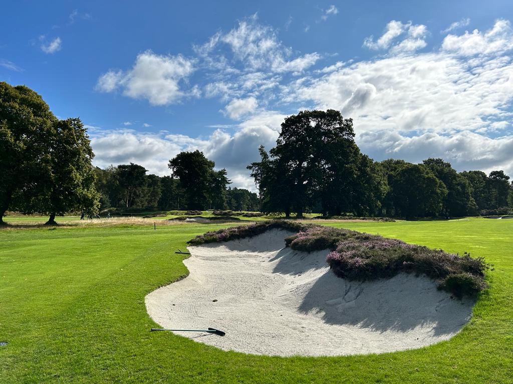 Hampshire Lose to Surrey Hampshire County Golf Union promotes golf